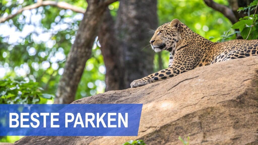 safari sri lanka beste parken