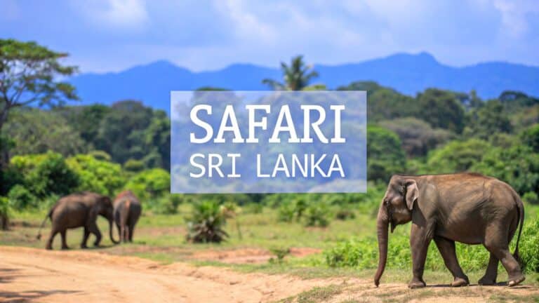safari sri lanka