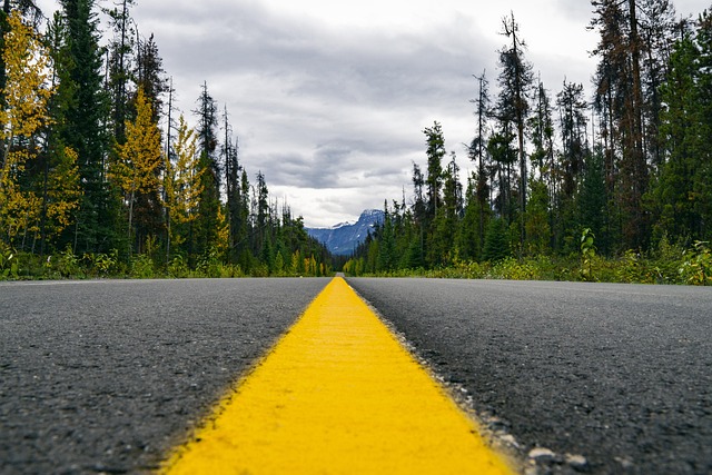 roadtrip amerika