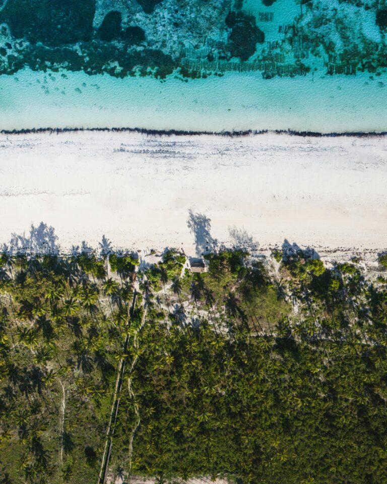 Tanzania vakantie: jouw ultieme Afrikaanse avontuur van safari tot strand