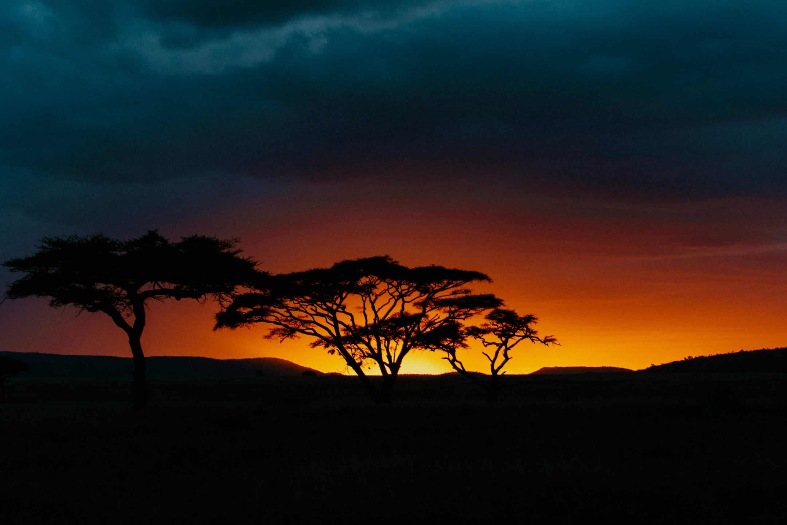 Afrikaanse zonsondergang savanne landschap wildlife silhouet Zimbabwe natuurschoon reisfotografie